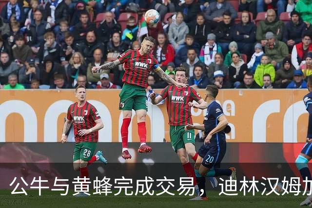 公牛与黄蜂完成交易，迪林汉姆加盟夏洛特，希尔德再次被转手